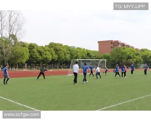 南京飞盘队心理素质分析与提升策略研究探讨 南京飞盘队心理素质分析与提升策略研究探讨