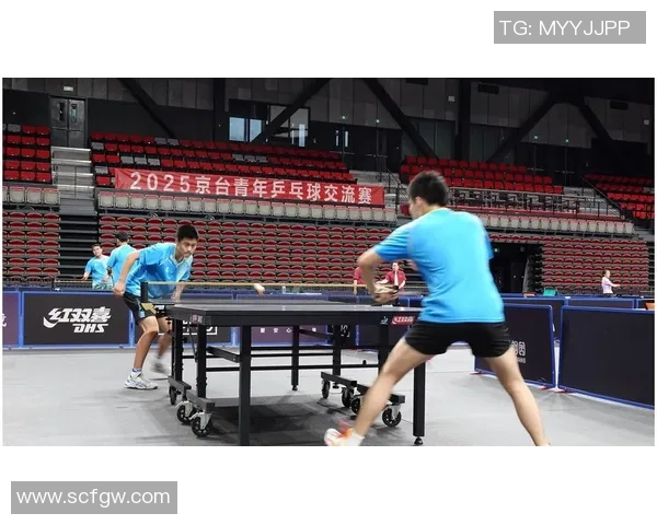 北京乒乓球队的节奏与风采探讨：聚焦乒乓球的魅力与发展