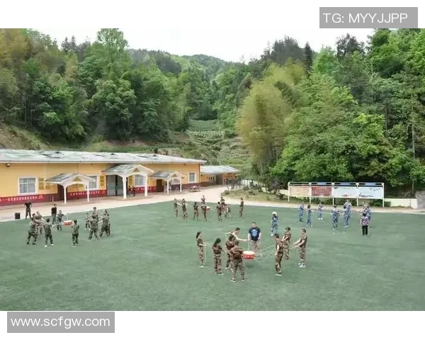 深入分析上海攀岩队区域防守战术的优势与应用策略